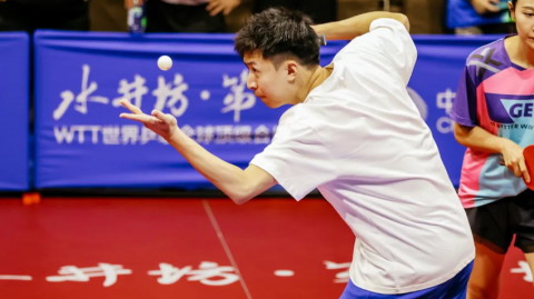 2026乒乓球冠军球员盘点：王楚钦澳门登顶，孙颖莎创三连冠神迹，国乒新老交替悬念延续